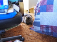 Vivitar 28mm f2 lens   C271627